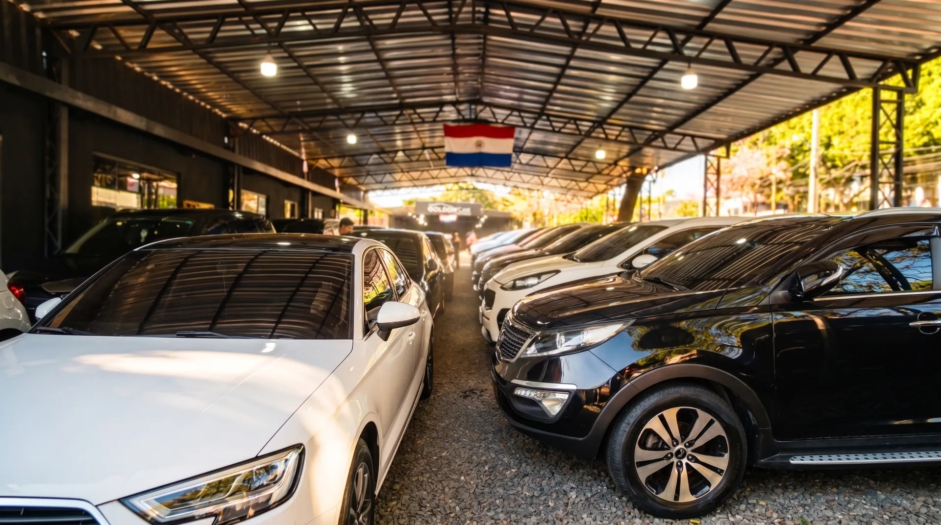 Gran variedad de SUV