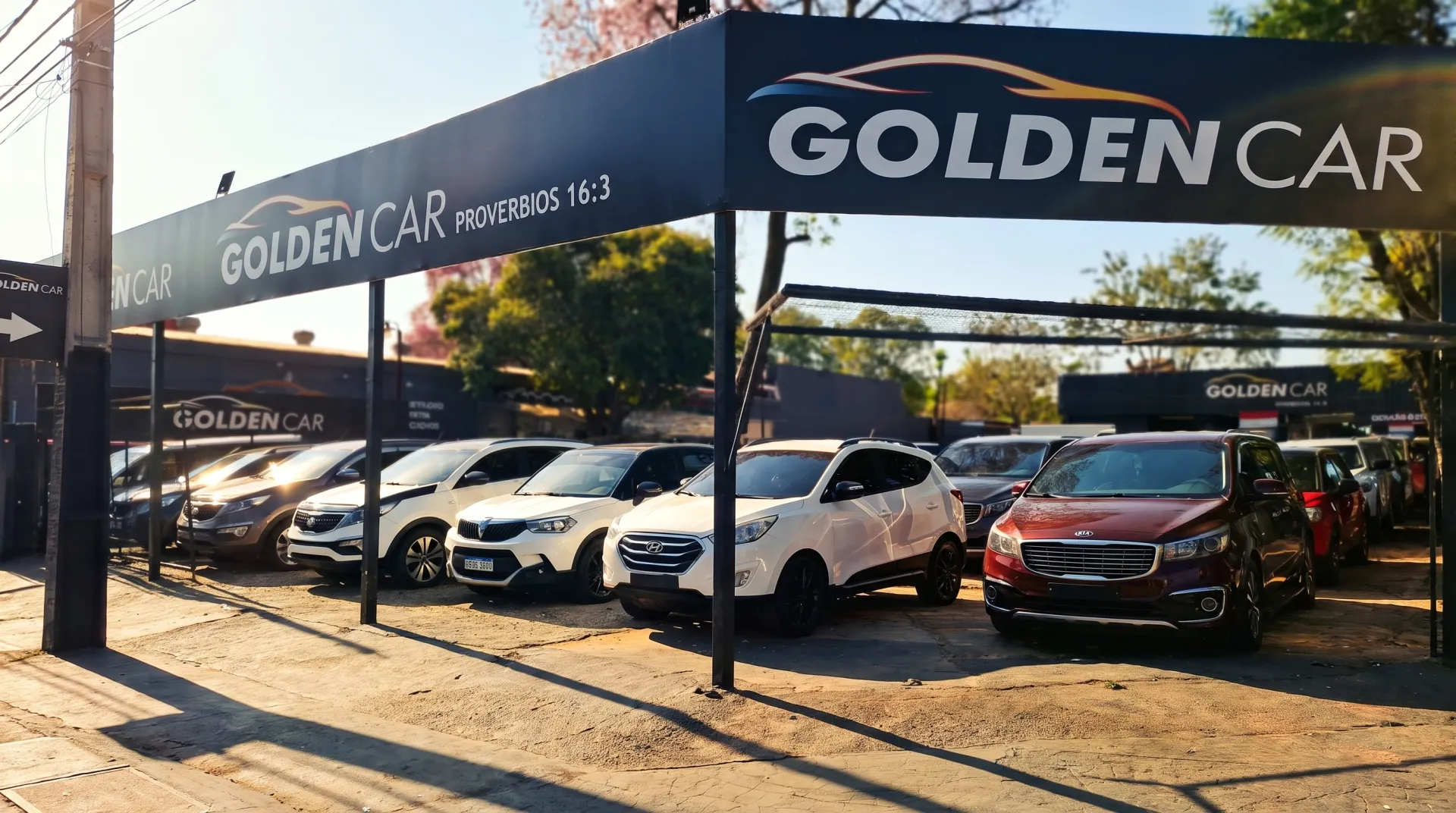 Visita nuestro showroom